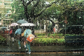 雨中上学去