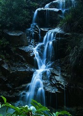 轻纱妙韵