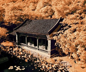 红外风光04