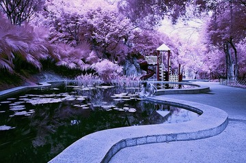 红外风光03