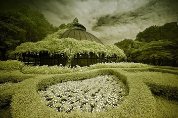 DSC_2890IR.jpg