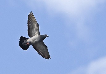 DSC_7971.jpg
