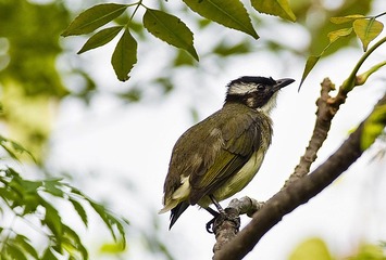 DSC_8469.jpg