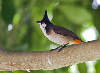 DSC_8849.jpg