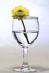 凭栏娇花