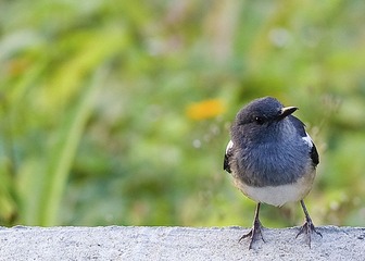 DSC_0166.jpg