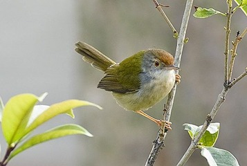 DSC_0903.jpg