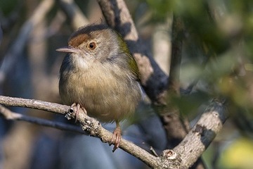DSC_2153.jpg