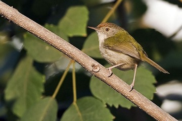 DSC_2111.jpg