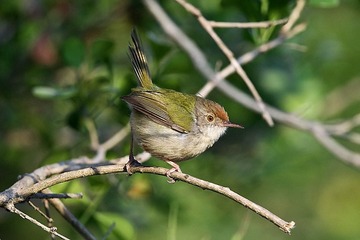 DSC_2126.jpg