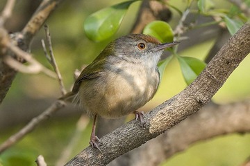 DSC_2133.jpg