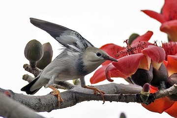 DSC_9207.jpg