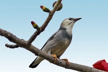 DSC_8872.jpg