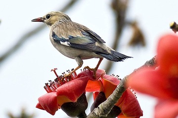 DSC_9025.jpg