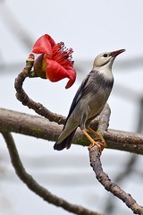 DSC_9096.jpg