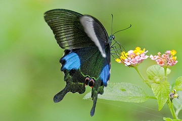 DSC_0146.jpg