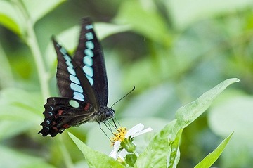 DSC_0082.jpg