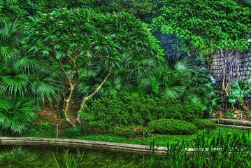 IMG_2900hdr