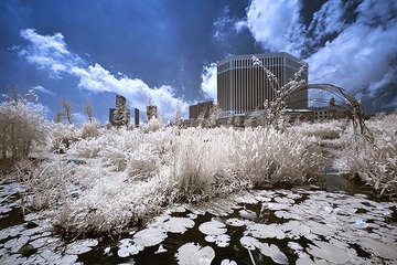 DSC_3016.jpg