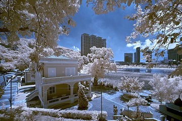 DSC_3112.jpg