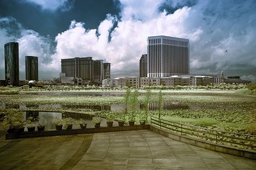 DSC_2986.jpg