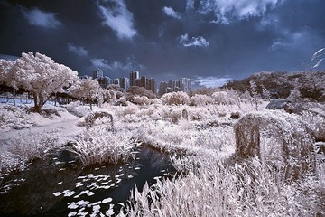 DSC_3037.jpg