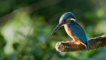 DSC_5912.jpg