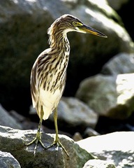 DSC_5692.jpg