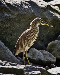 DSC_5668.jpg