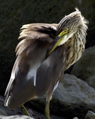 DSC_5676.jpg