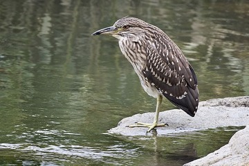 DSC_6347.jpg