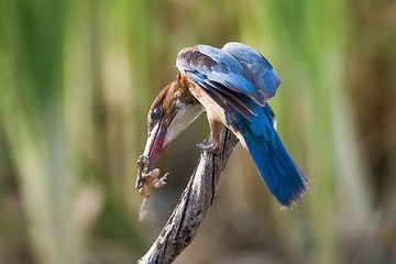 DSC_7627.jpg