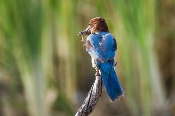 DSC_7629.jpg