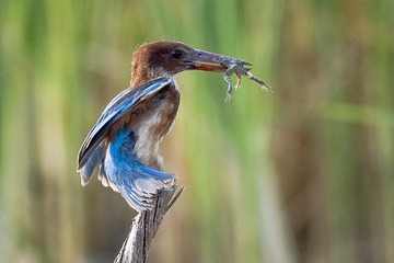 DSC_7634.jpg