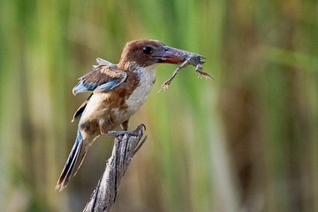DSC_7635.jpg