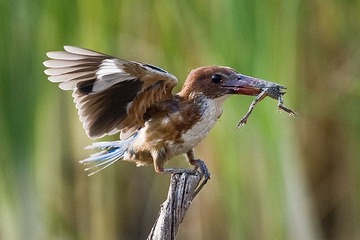 DSC_7636.jpg