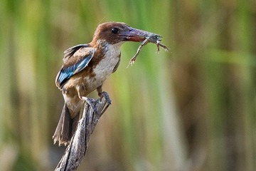 DSC_7638.jpg
