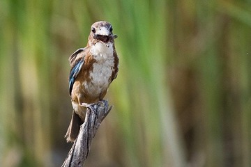 DSC_7645.jpg