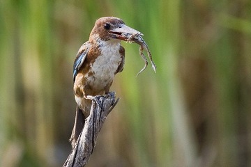 DSC_7654.jpg