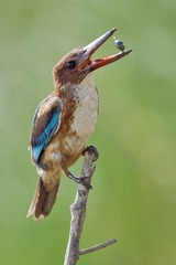 DSC_8146.jpg