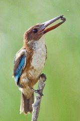DSC_8148.jpg
