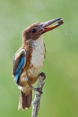 DSC_8149.jpg