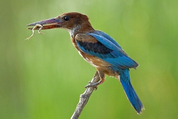 DSC_7936.jpg