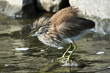 DSC_8637.jpg