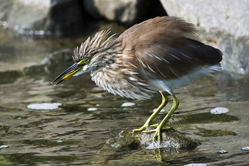 DSC_8638.jpg