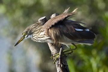 DSC_8655.jpg