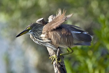 DSC_8656.jpg