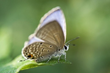 DSC_8866.jpg