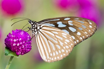 DSC_9076.jpg