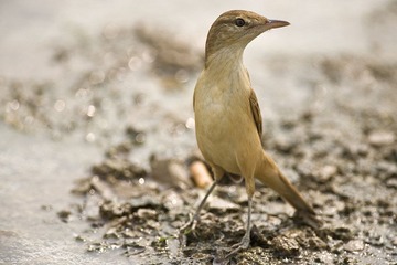DSC_9908.jpg